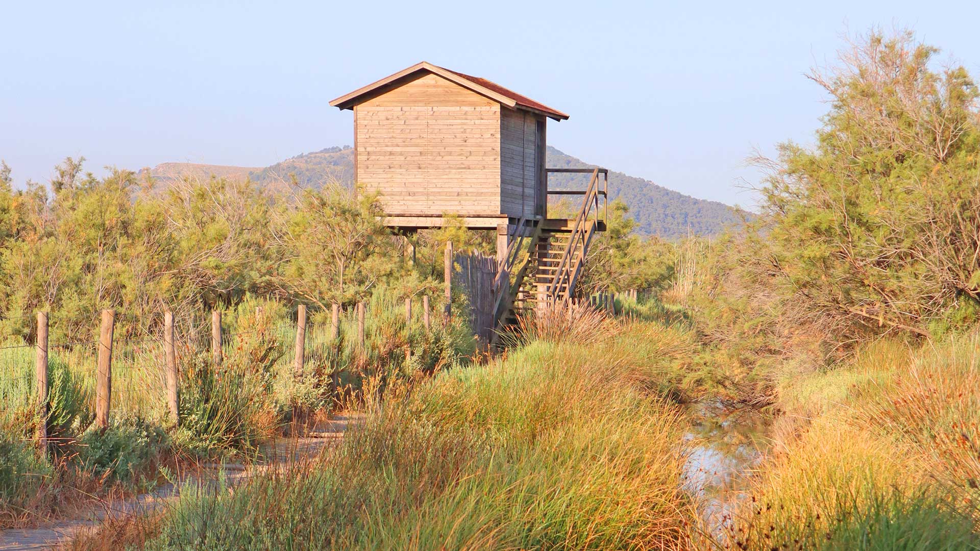 observatorio de aves