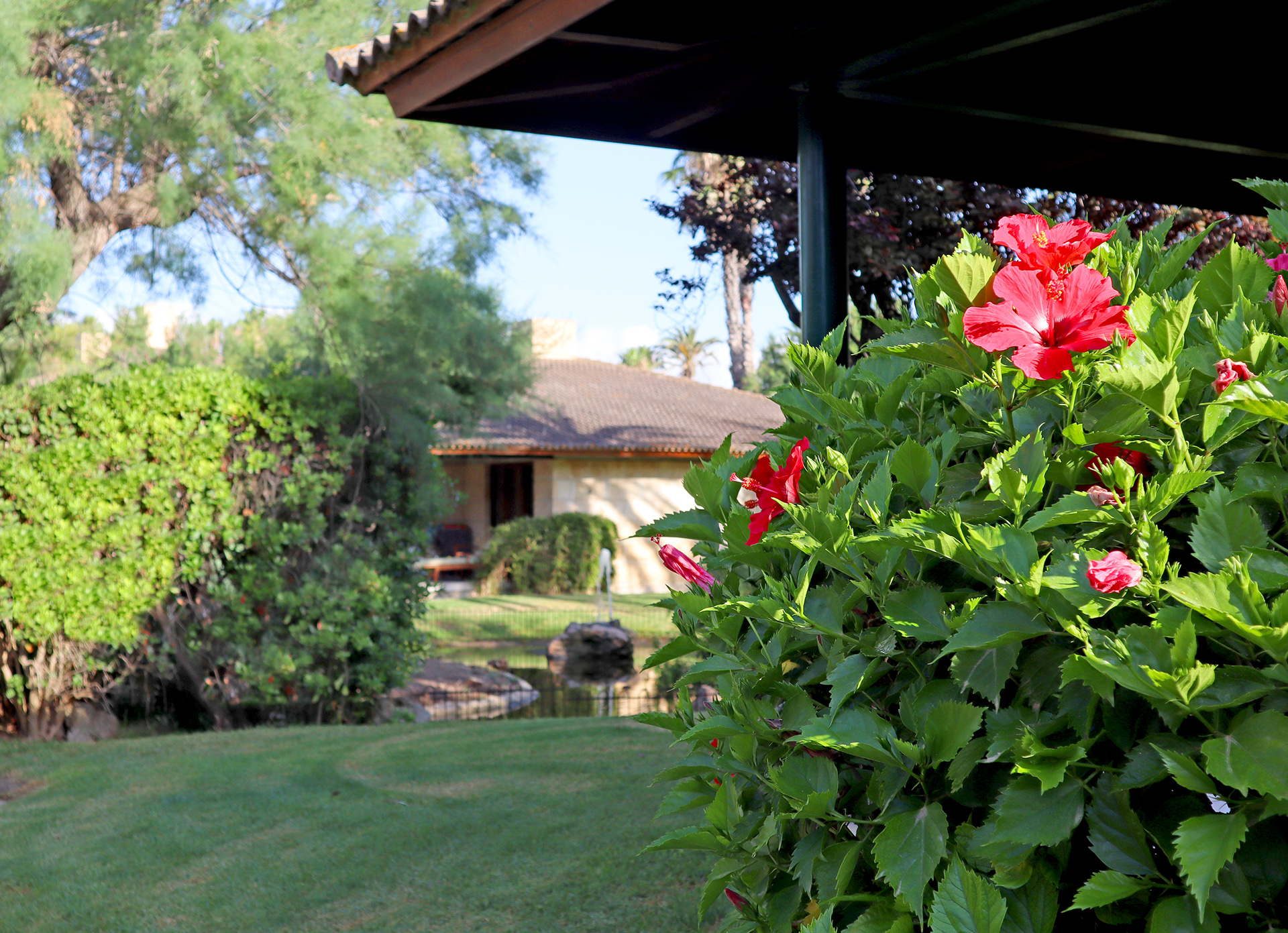 habitación Club Pollentia Resort & Spa